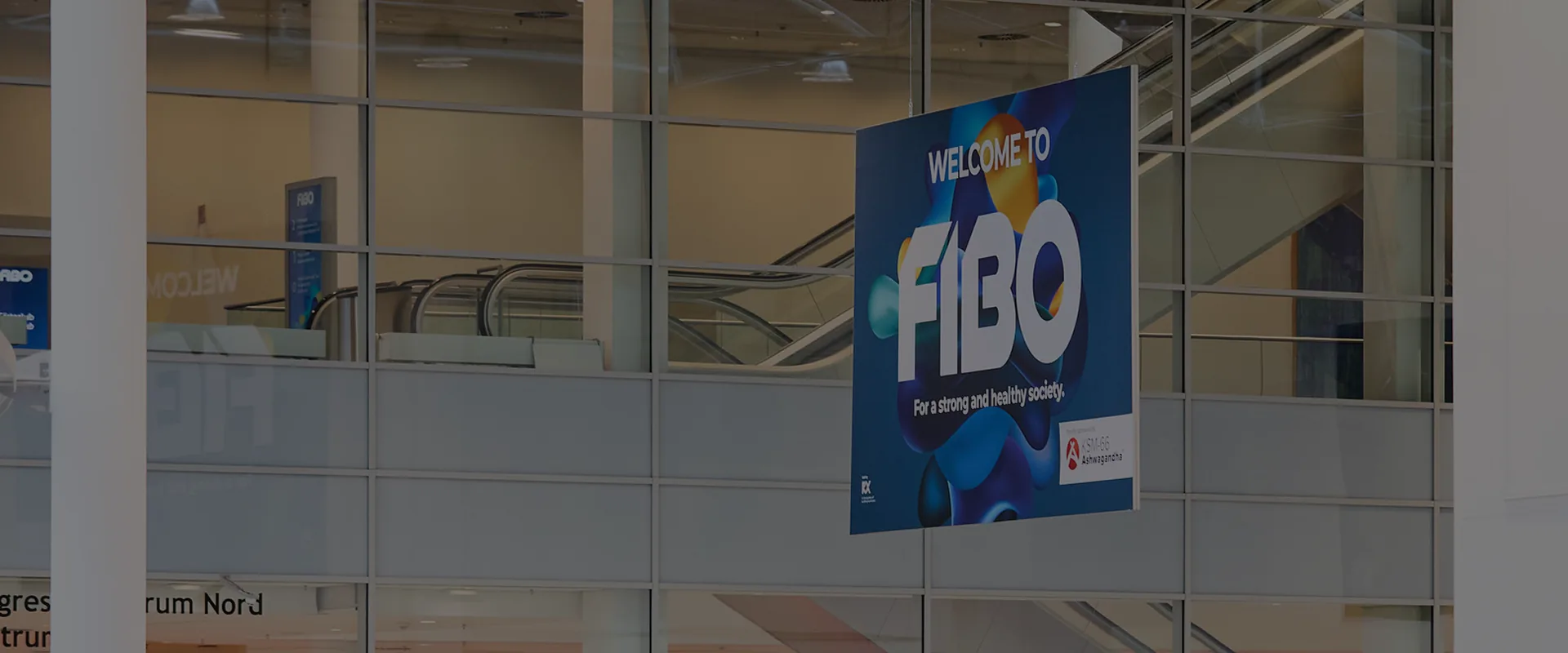 FIBO 2025 Recap