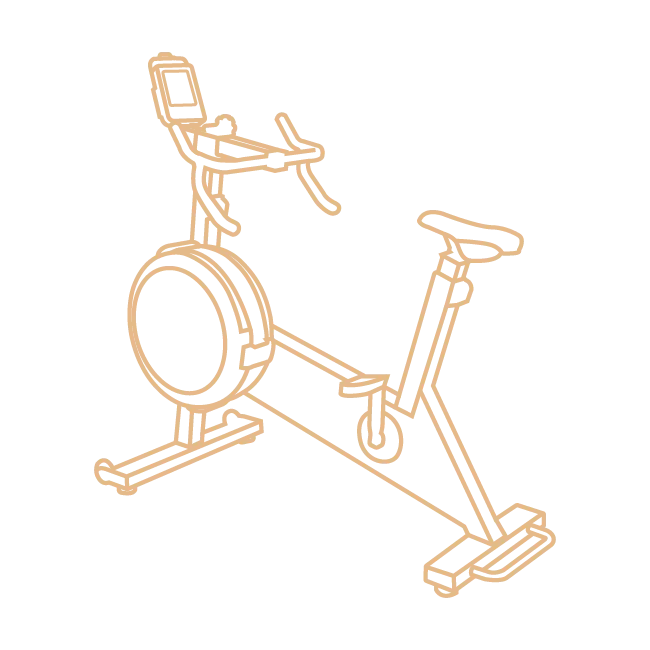 Fan Bike