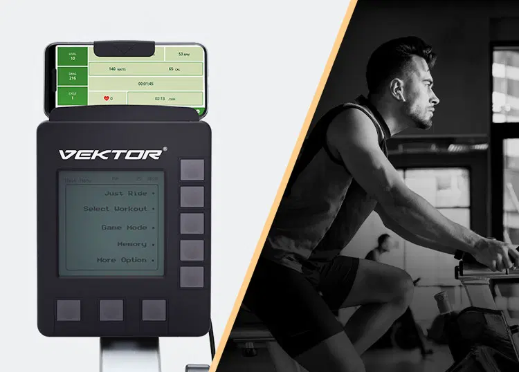 Connecting VEKTOR to D-Fit